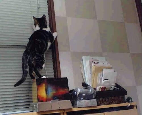 开云-《《绝地求生》2.0新版上线，游戏体验再升华》，绝地求生新版的绝地求生