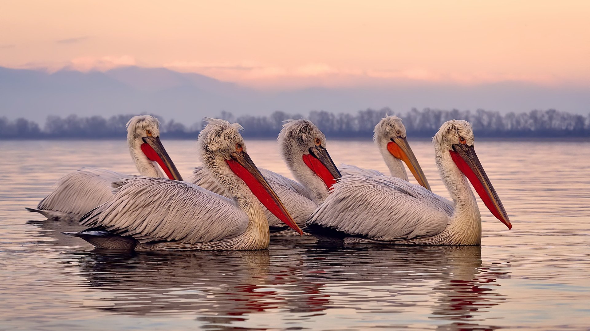 史上最“燃”关键三分，哪一球让你血脉贲张？