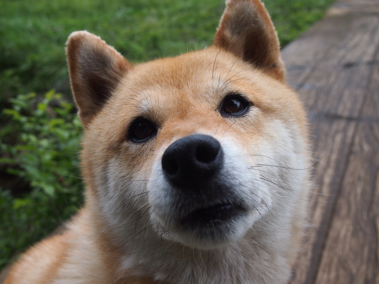 墨西哥男足在巴黎奥运会比赛中以2-1战胜葡萄牙，墨西哥男足奥运会最好成绩